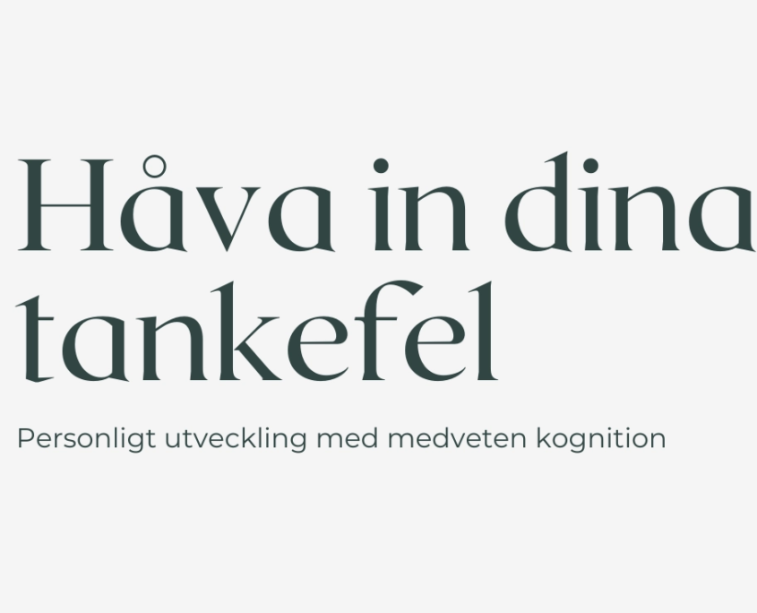 Håva in dina hämmande tankefel